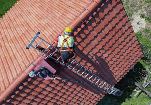 Best Roof Moss and Algae Removal  in Radcliff, KY